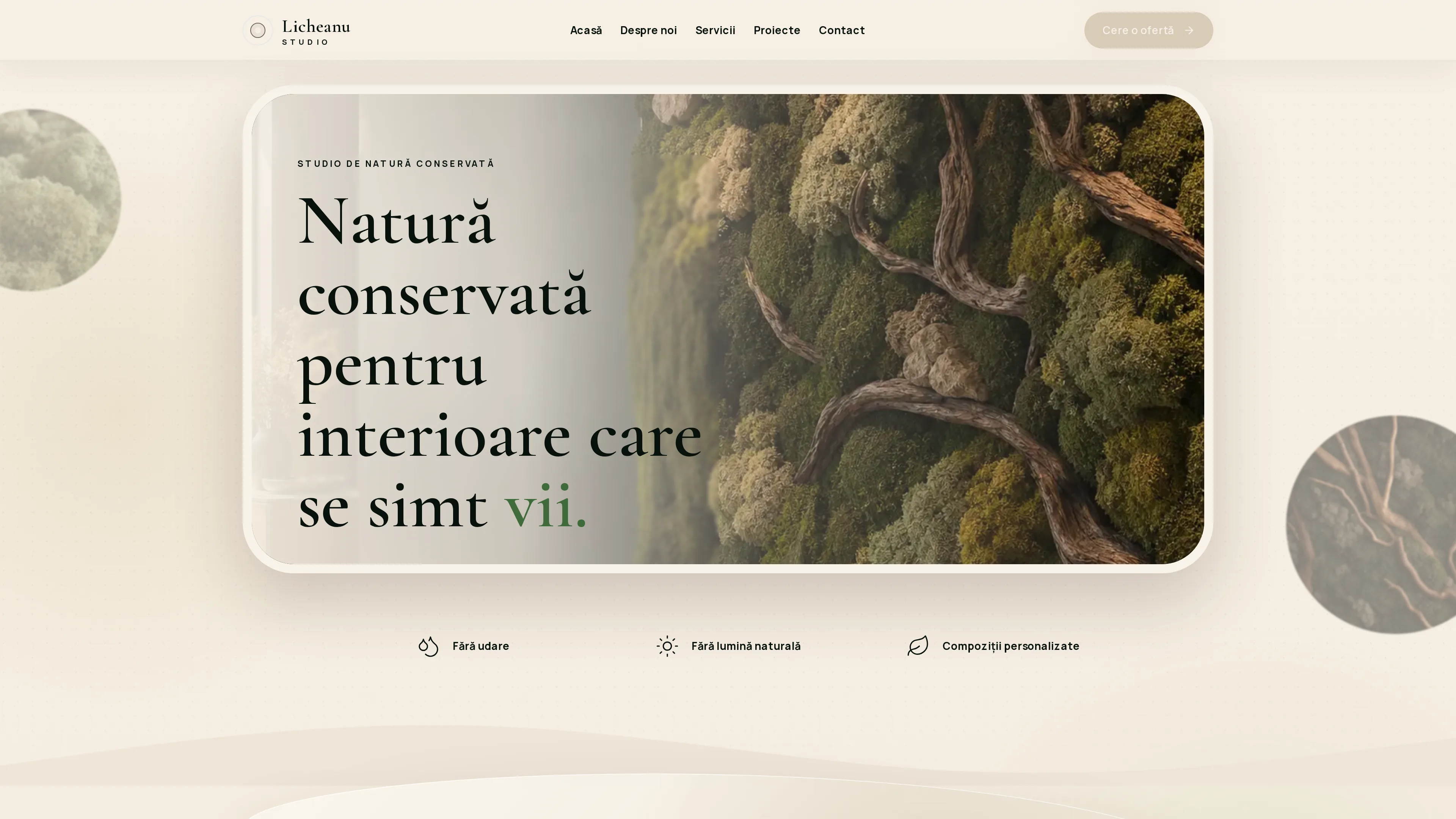 Licheanu homepage